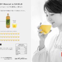 画像11257：サジーαフェール