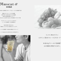 画像11258：サジーαフェール
