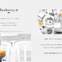 画像11261：サジーαフェール
